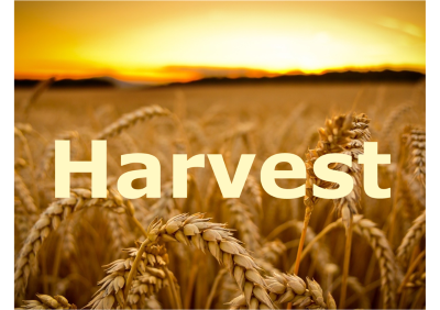 Harvest Festival