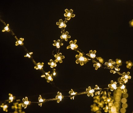 Christmas Eve