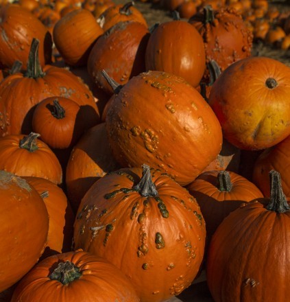 Halloween event
