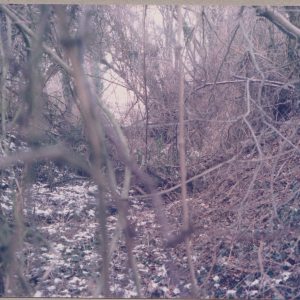 1986 February 1 before tidying