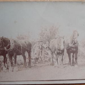 IMG 20221015 171051 958