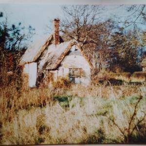 IMG 20221015 171330 512