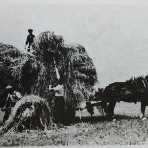 IMG 20221015 171411 980