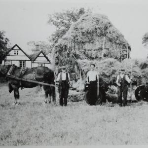 IMG 20221015 171428 364