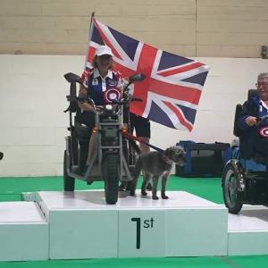 Dodger NJT Gold Silver